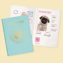 Studio Pets Плюшено куче Мопс с куфарче и паспорт, Снугъл, 23 см studio pets плюшено куче мопс с куфарче и паспорт, снугъл, 23 см 24