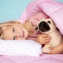 Studio Pets Плюшено куче Мопс с куфарче и паспорт, Снугъл, 23 см studio pets плюшено куче мопс с куфарче и паспорт, снугъл, 23 см 19