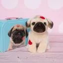 Studio Pets Плюшено куче Мопс с куфарче и паспорт, Снугъл, 23 см studio pets плюшено куче мопс с куфарче и паспорт, снугъл, 23 см 20