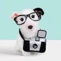 Studio Pets Плюшено куче Бултериер с фотоапарат и куфарче, Чарли, 23 см studio pets плюшено куче бултериер с фотоапарат и куфарче, чарли, 23 см 15
