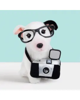 Studio Pets Плюшено куче Бултериер с фотоапарат и куфарче, Чарли, 23 см