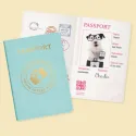 Studio Pets Плюшено куче Бултериер с фотоапарат и куфарче, Чарли, 23 см studio pets плюшено куче бултериер с фотоапарат и куфарче, чарли, 23 см 18