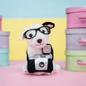 Studio Pets Плюшено куче Бултериер с фотоапарат и куфарче, Чарли, 23 см studio pets плюшено куче бултериер с фотоапарат и куфарче, чарли, 23 см 16