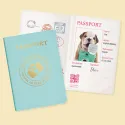 Studio Pets Плюшено куче Английски булдог с куфарче и паспорт, Звезда, 23 см studio pets плюшено куче английски булдог с куфарче и паспорт, звезда, 23 см 22