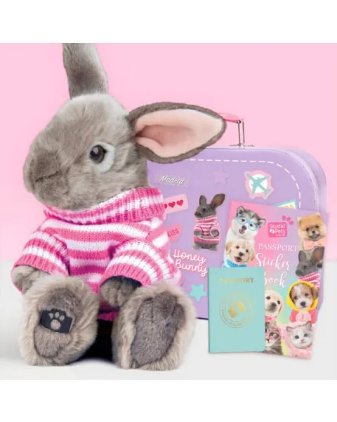 studio pets плюшено куче лабрадор с куфарче, паспорт и стикери, щастливко 23 см 60