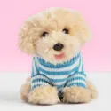 Studio Pets Плюшено куче Лабрадудел с куфарче, паспорт и стикери, Драскукла 23 см studio pets плюшено куче лабрадудел с куфарче, паспорт и стикери, драскукла 23 см 18