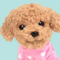 studio pets плюшено куче пудел, бисквитка, 16 см 15