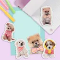 Studio Pets 2D Гумички за триене с кученца studio pets 2d гумички за триене с кученца 15