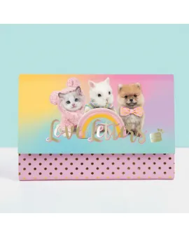 Studio Pets Папка с цветни листа и пликове за писма