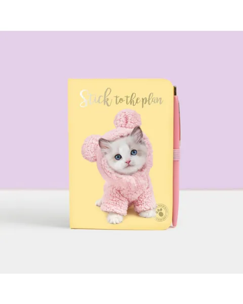 studio pets детски комплект за декорация с печати, картички и пликове 71