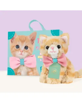 Studio Pets Плюшено коте в куфарче, Томи, 8 см