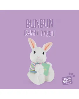 Studio Pets Плюшено зайче с блузка, БунБун,16 см