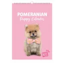 studio pets месечен планер със снимки, кученце померан 17