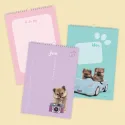 studio pets месечен планер със снимки, кученце померан 15