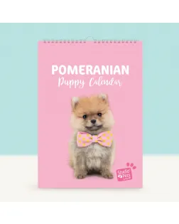 Studio Pets Месечен планер със снимки, Кученце Померан