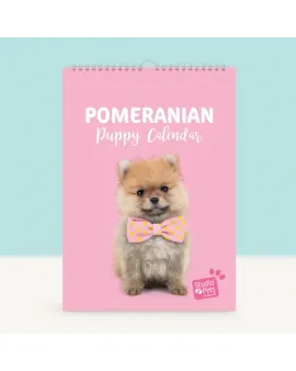 Studio Pets Месечен планер със снимки, Кученце Померан