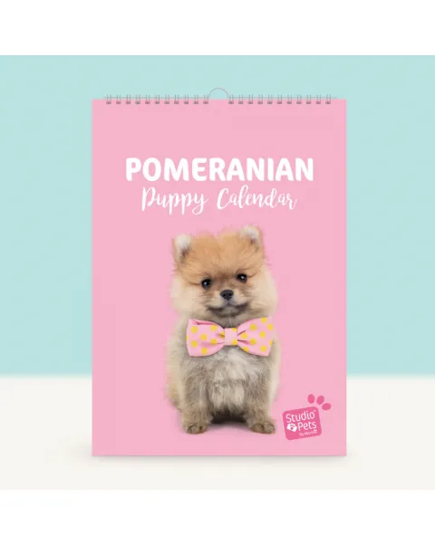studio pets месечен планер със снимки, кученце кавалер 71