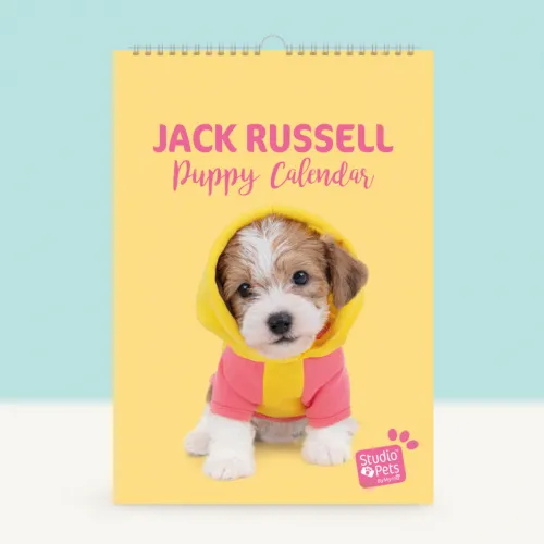 Studio Pets Месечен планер със снимки, Кученце Джак Ръсел studio pets месечен планер със снимки, кученце джак ръсел 14