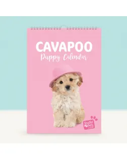 Studio Pets Месечен планер със снимки, Кученце Кавапу