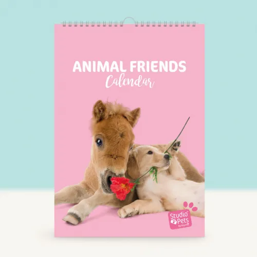 Studio Pets Месечен планер със снимки, Животни studio pets месечен планер със снимки, животни 14