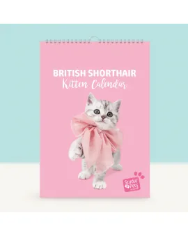 Studio Pets Месечен планер със снимки, Британски котенца
