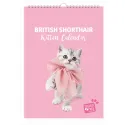 studio pets месечен планер със снимки, британски котенца 17