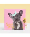 Studio Pets Детски дневник с катинарче, Френски булдог БиБи