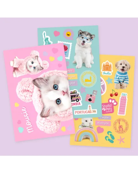 studio pets а5 книжка със стикери за декорация, биби и пейдж 55